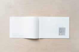 Merle Michaelis / Lettering & Typography