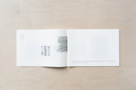 Merle Michaelis / Lettering & Typography