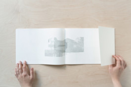 Merle Michaelis / Lettering & Typography