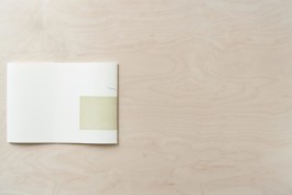 Merle Michaelis / Lettering & Typography