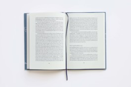 Merle Michaelis / Lettering & Typography