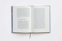 Merle Michaelis / Lettering & Typography