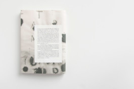 Merle Michaelis / Lettering & Typography