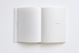 Merle Michaelis / Lettering & Typography