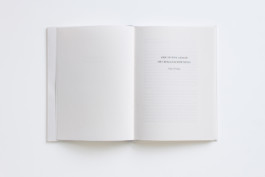 Merle Michaelis / Lettering & Typography