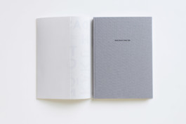 Merle Michaelis / Lettering & Typography