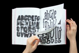 Merle Michaelis / Lettering & Typography