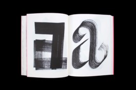 Merle Michaelis / Lettering & Typography