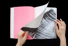 Merle Michaelis / Lettering & Typography