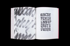 Merle Michaelis / Lettering & Typography