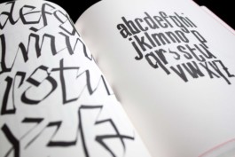 Merle Michaelis / Lettering & Typography