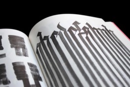 Merle Michaelis / Lettering & Typography