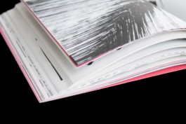 Merle Michaelis / Lettering & Typography