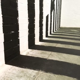 Merle Michaelis / Lettering & Typography